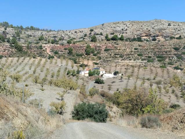 Casa-chalet en Venta en Jarales