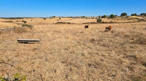Photo 2 of Land for sale in N/a, -1, Villa del Rey, Cáceres