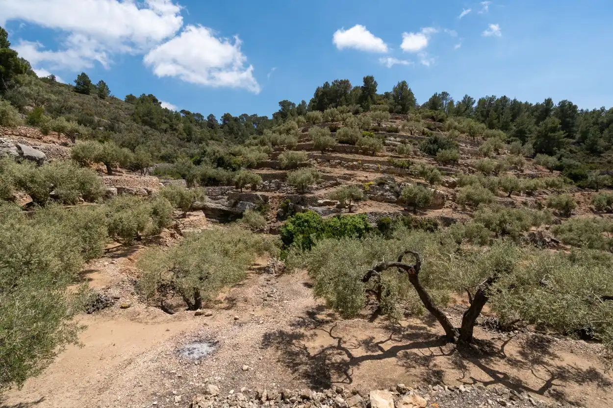 Country house zum Verkauf in Tortosa mit Abstellraum