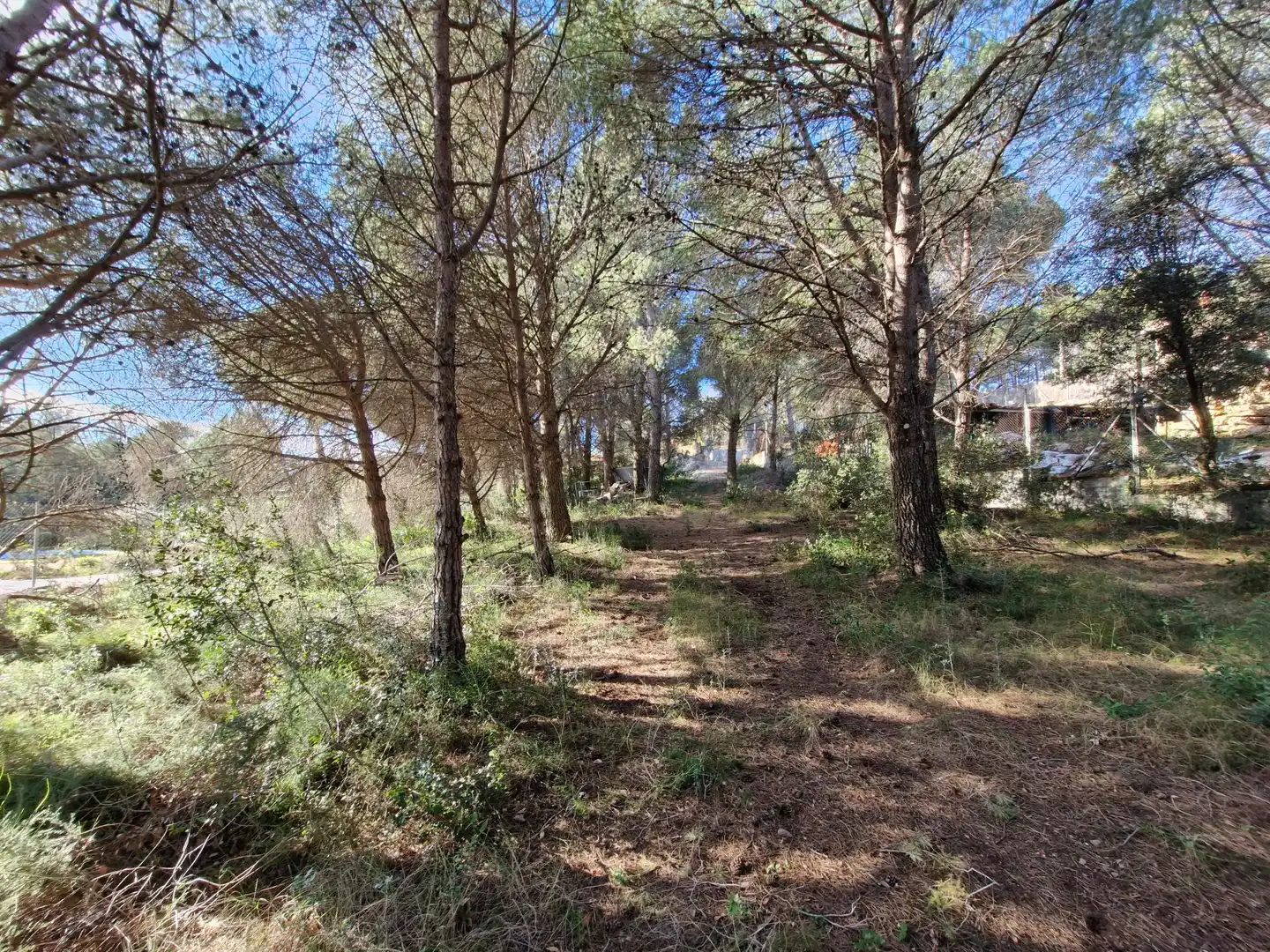 Residential for sale in L'Albiol