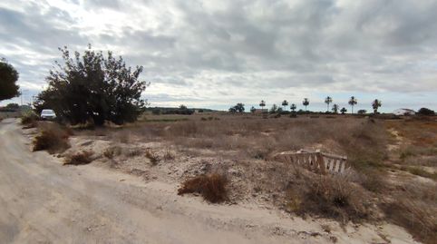 BONITA PARCELA CON VISTAS EN VENTA EN EL MOLAR, ELCHE Amplia parcela en venta en EL MOLAR, ELCHE Una increÃble oportunidad de adqu, imatge 2