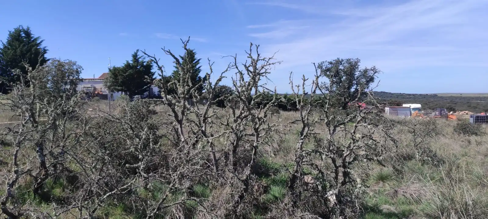 Residential land for sale in Carretera Bejar 29, imagen 3
