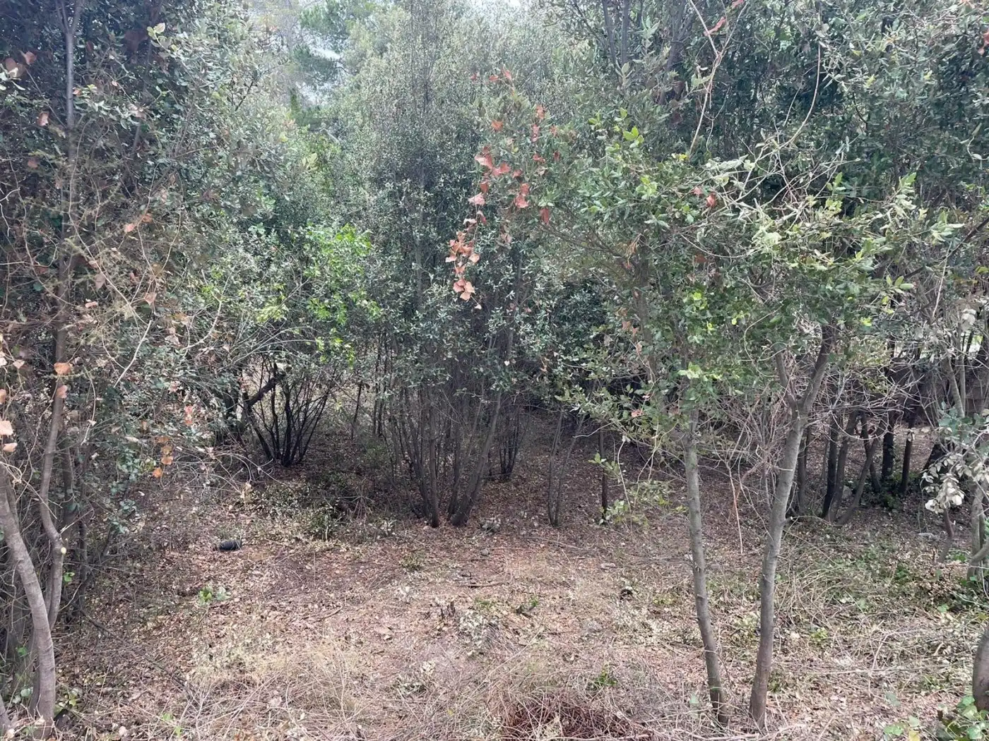 Lands and plots for sale in Caldes de Montbui, imagen 5