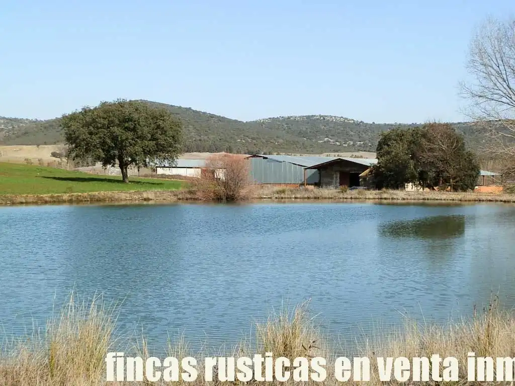 Terreny rústic en venda a Puebla de Don Rodrigo