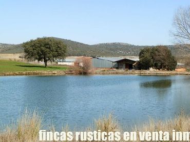 Terreno rustico in vendita a Puebla de Don Rodrigo