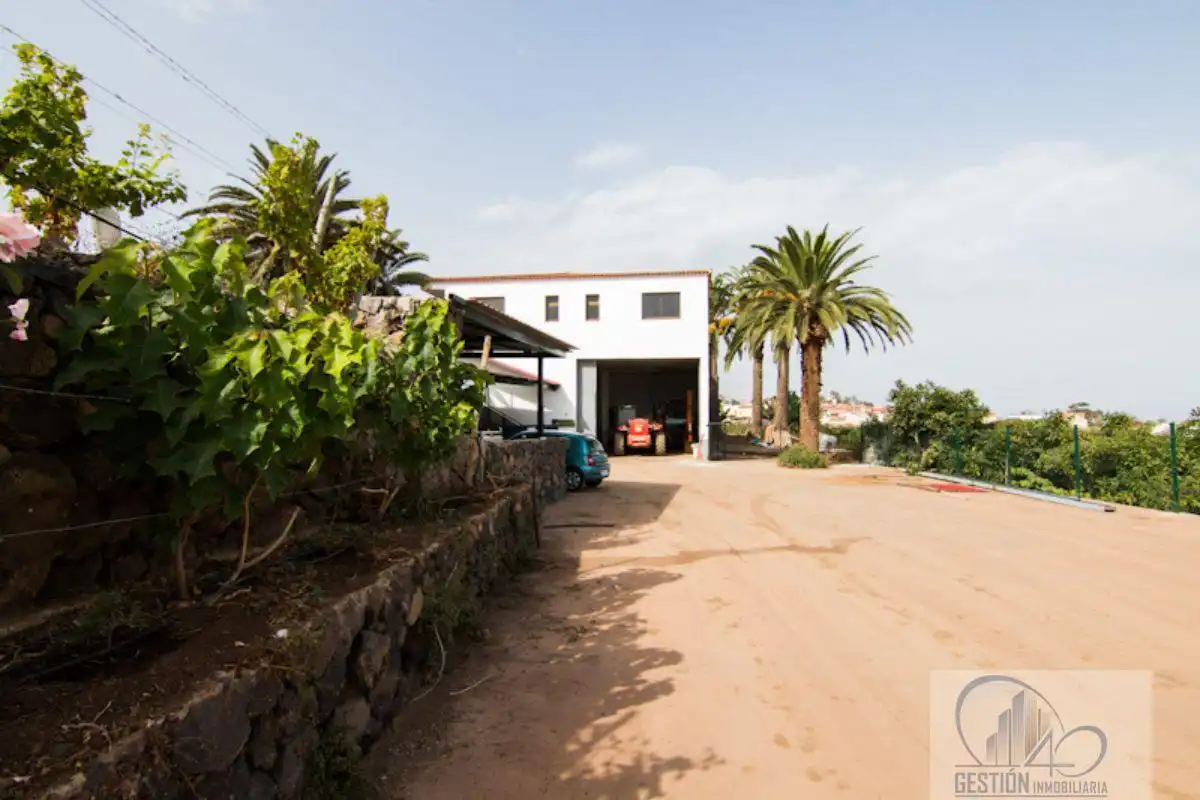 Vista exterior de Finca rústica en venda en Santa Úrsula amb Terrassa i Balcó