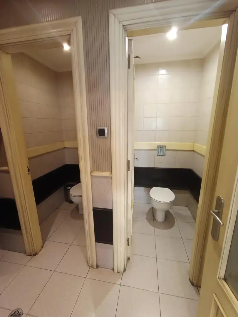 Bathroom of Commercial properties for sale in Zalla 