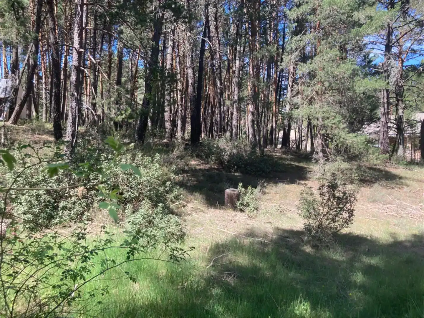 Terreno en venta en Navaleno, Soria