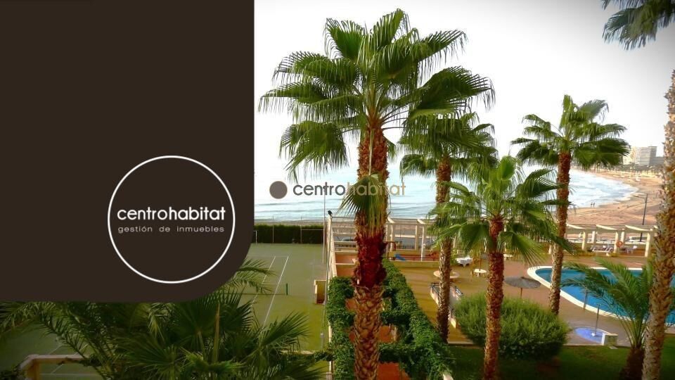 Exterior view of Apartment for sale in El Campello  with Private garden, Terrace and Community pool