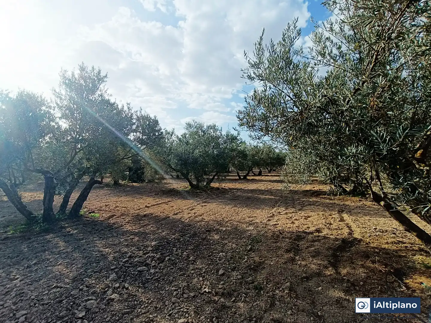 Casa o xalet en venda en Baza amb Jardí privat, Piscina i Moblat
