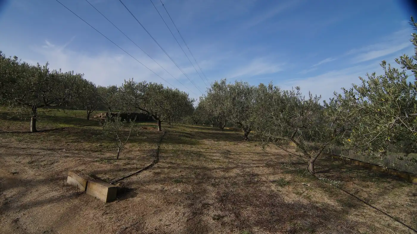 Country homes for sale in Falset  with Private garden
