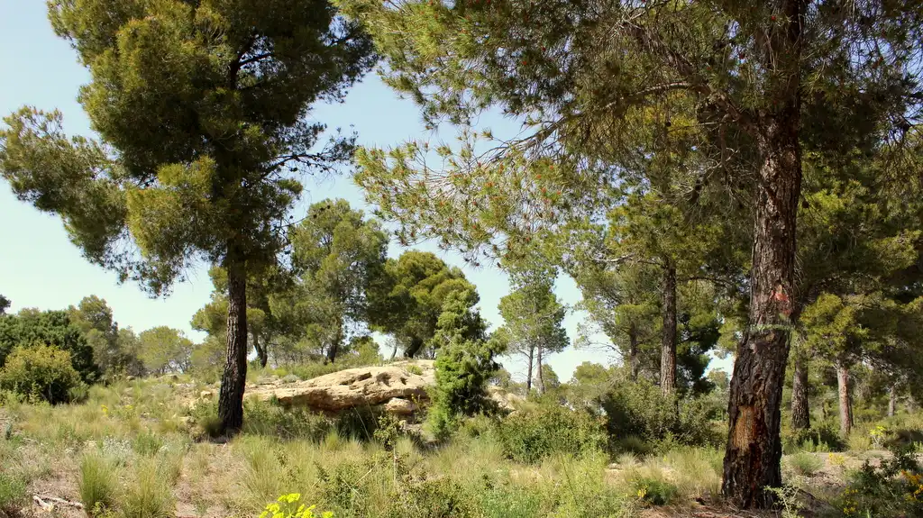 Finca rústica en venda en Maella