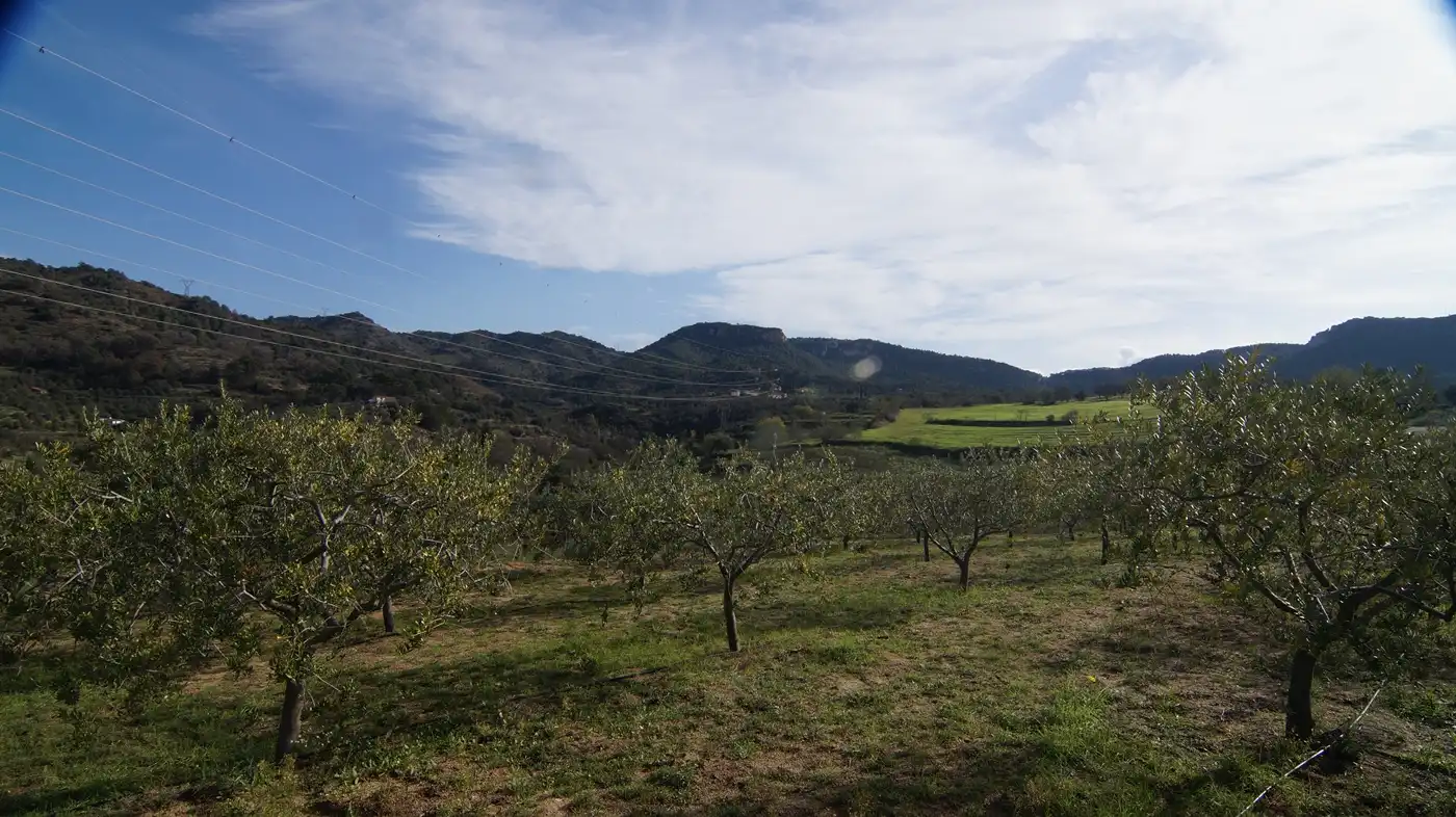 Country homes for sale in Falset  with Private garden