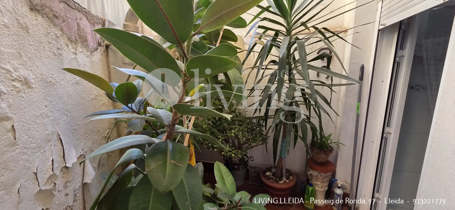 Piso con terraza en venta en Avinguda Alcalde Porqueres, imagen 25
