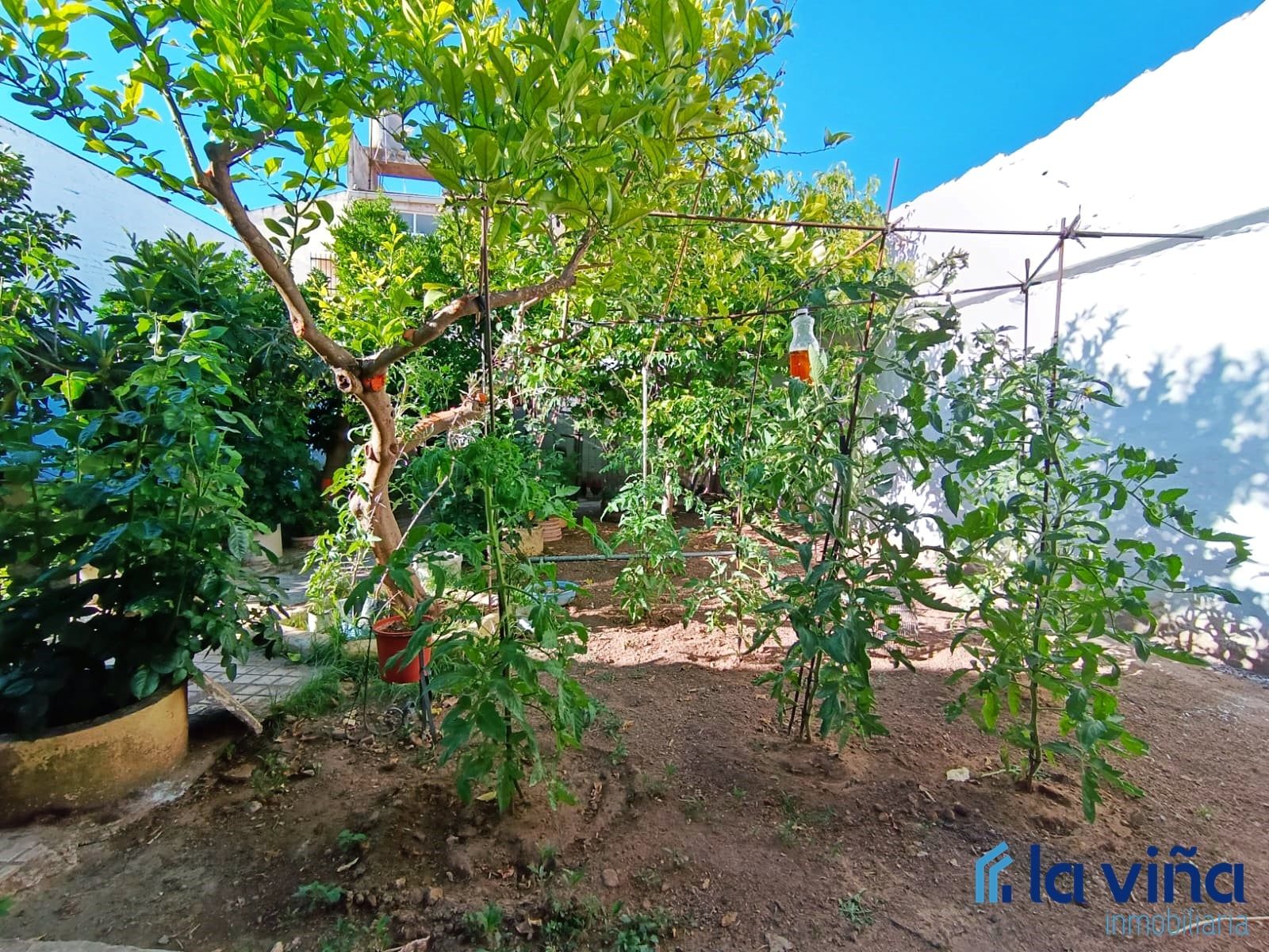 Garden of Single-family semi-detached for sale in Campillos  with Private garden, Storage room and Furnished