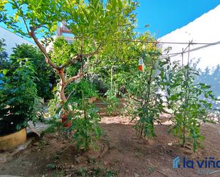 Jardí de Casa adosada en venda en Campillos amb Balcó