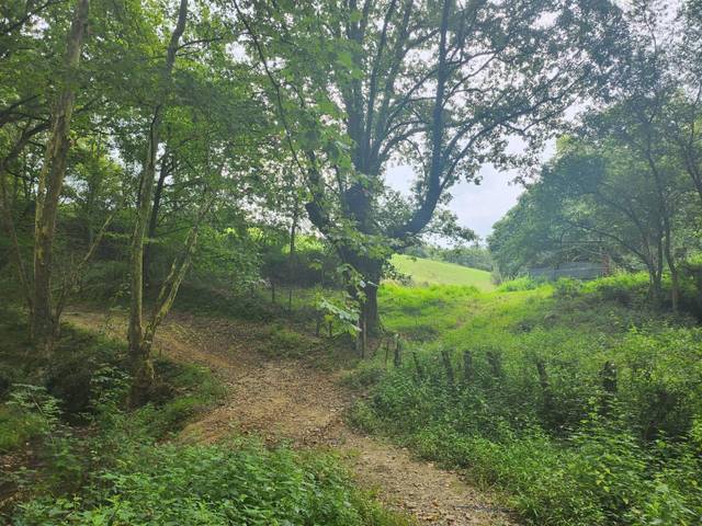 Terreno en Venta en N/A en Zugarramurdi