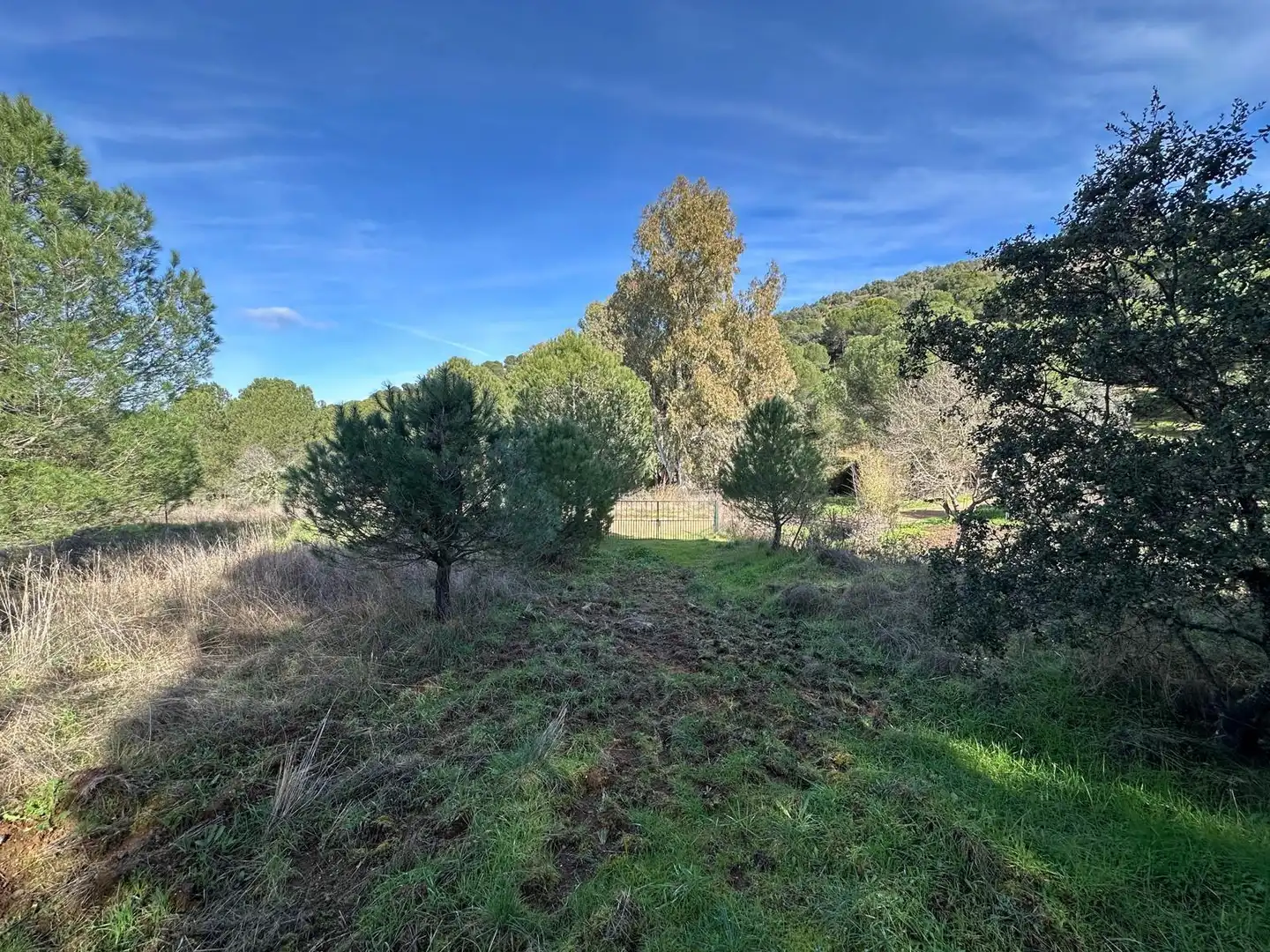 Casa o chalet en venta en Villaviciosa de Córdoba con Calefacción, Jardín privado y Terraza