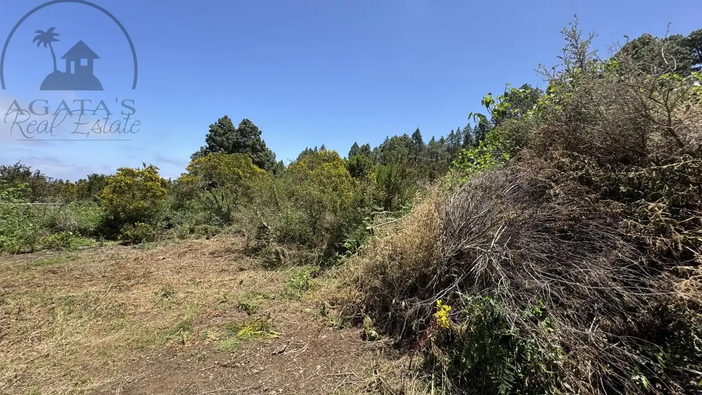 Lands and plots for sale in La Peña 1, imagen 9