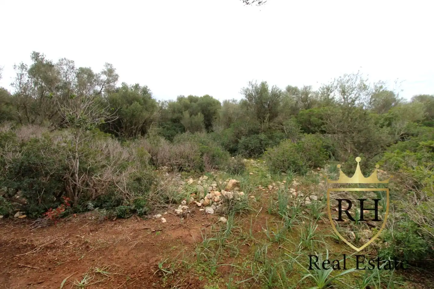 Lands and plots for sale in POLIGONO 49 PARCELA 3, imagen 15