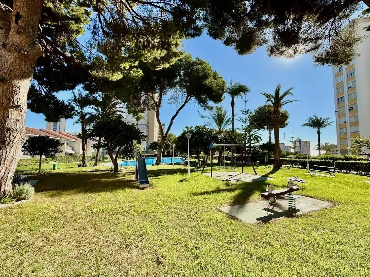 Vista exterior de Apartament en venda en Benidorm amb Terrassa i Piscina comunitària