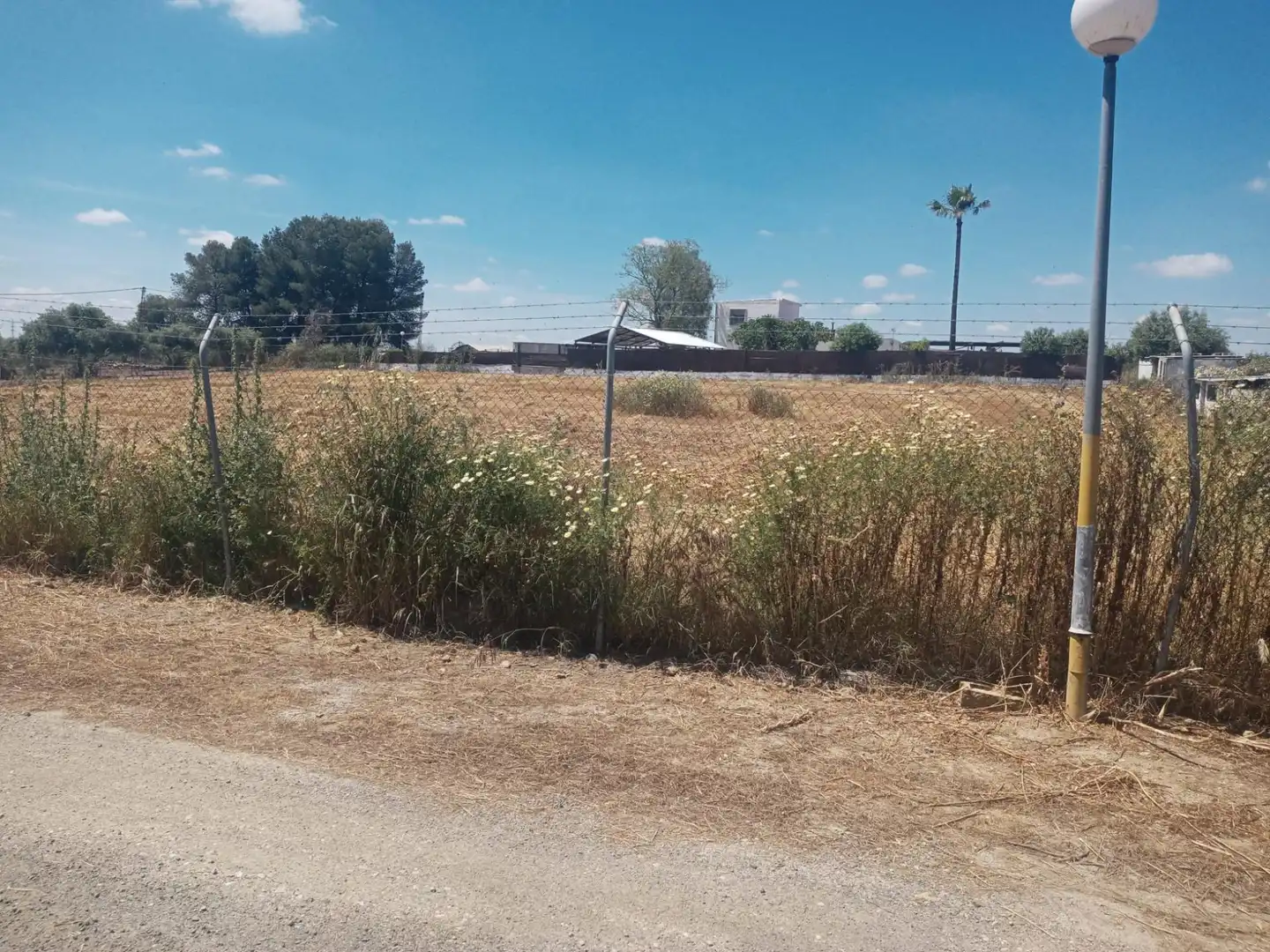 Terreni e lotti in vendita a Utrera ciudad, imagen 16