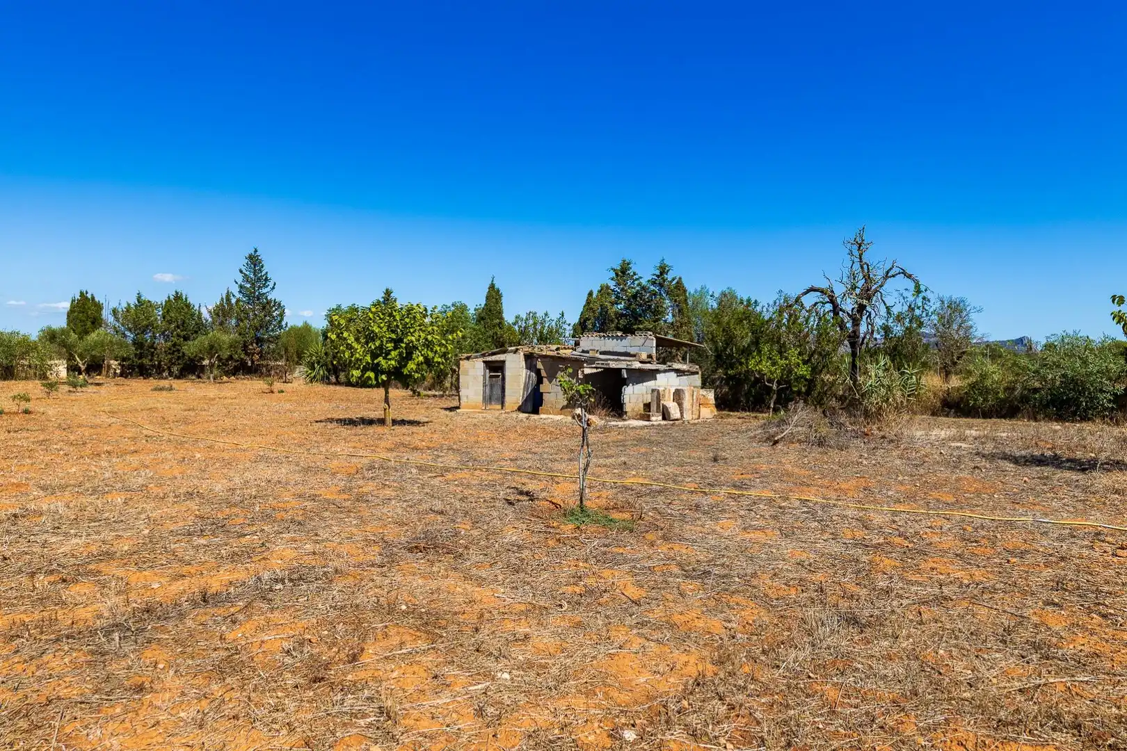 Rustikales Grundstück zum Verkauf in Llucmajor pueblo, imagen 32
