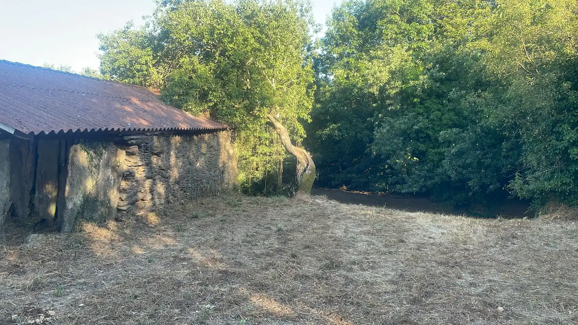 Finca rústica en venda en O Pino 