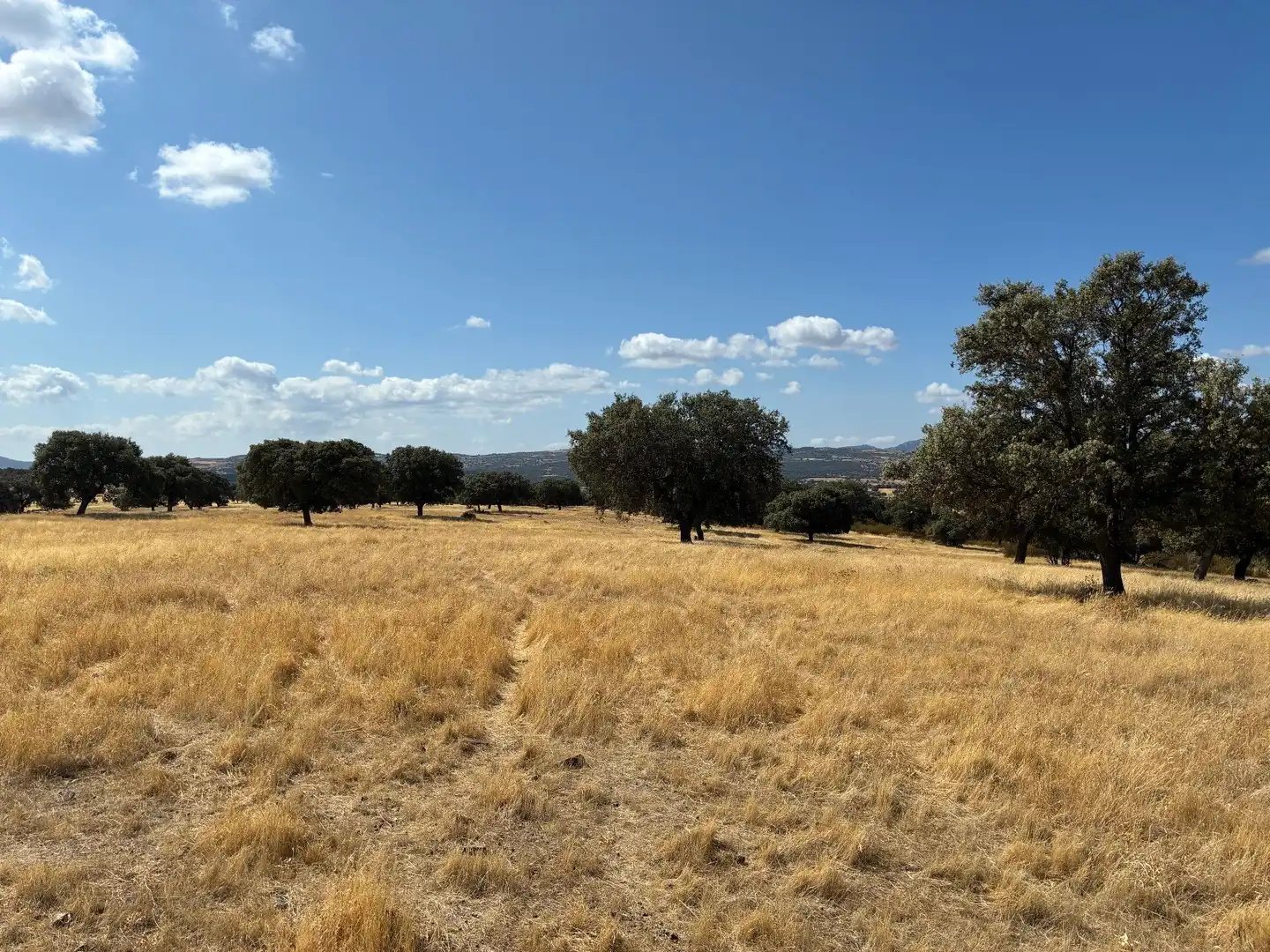 Rural land for sale in Mohedas de la Jara, imagen 2