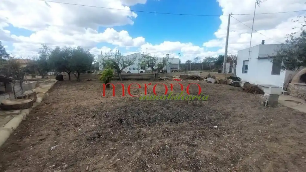 Casa o chalet en venta en Elche / Elx