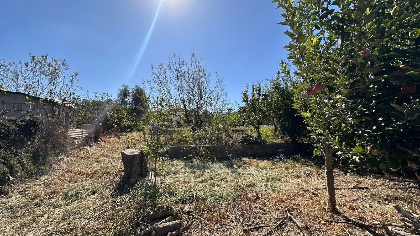 Chalet con piscina en venta en Alfarb, imagen 59