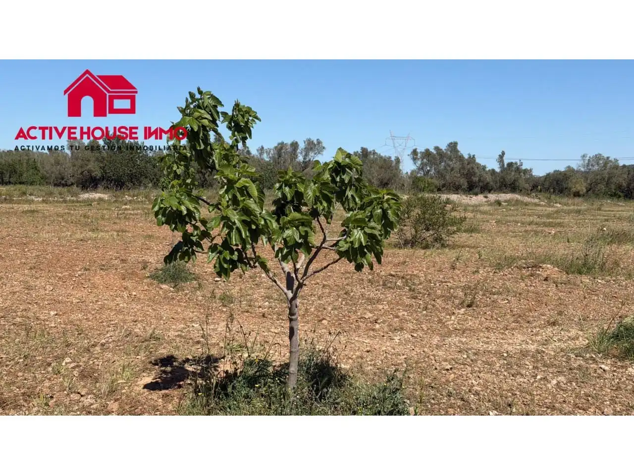 Rural land for sale in Calle Poligono 40 Planetes, imagen 5