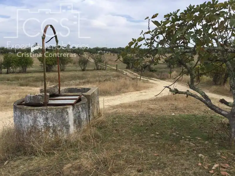 Casa rústica en venda a Almonte ciudad, imagen 50