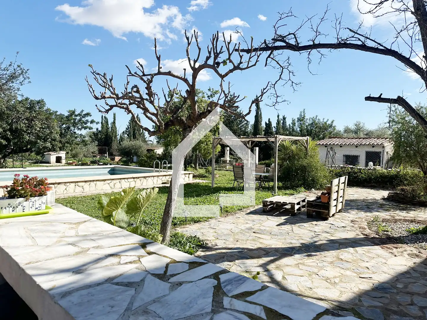 Jardí de Casa o xalet en venda en San Vicente del Raspeig / Sant Vicent del Raspeig amb Jardí privat, Terrassa i Piscina