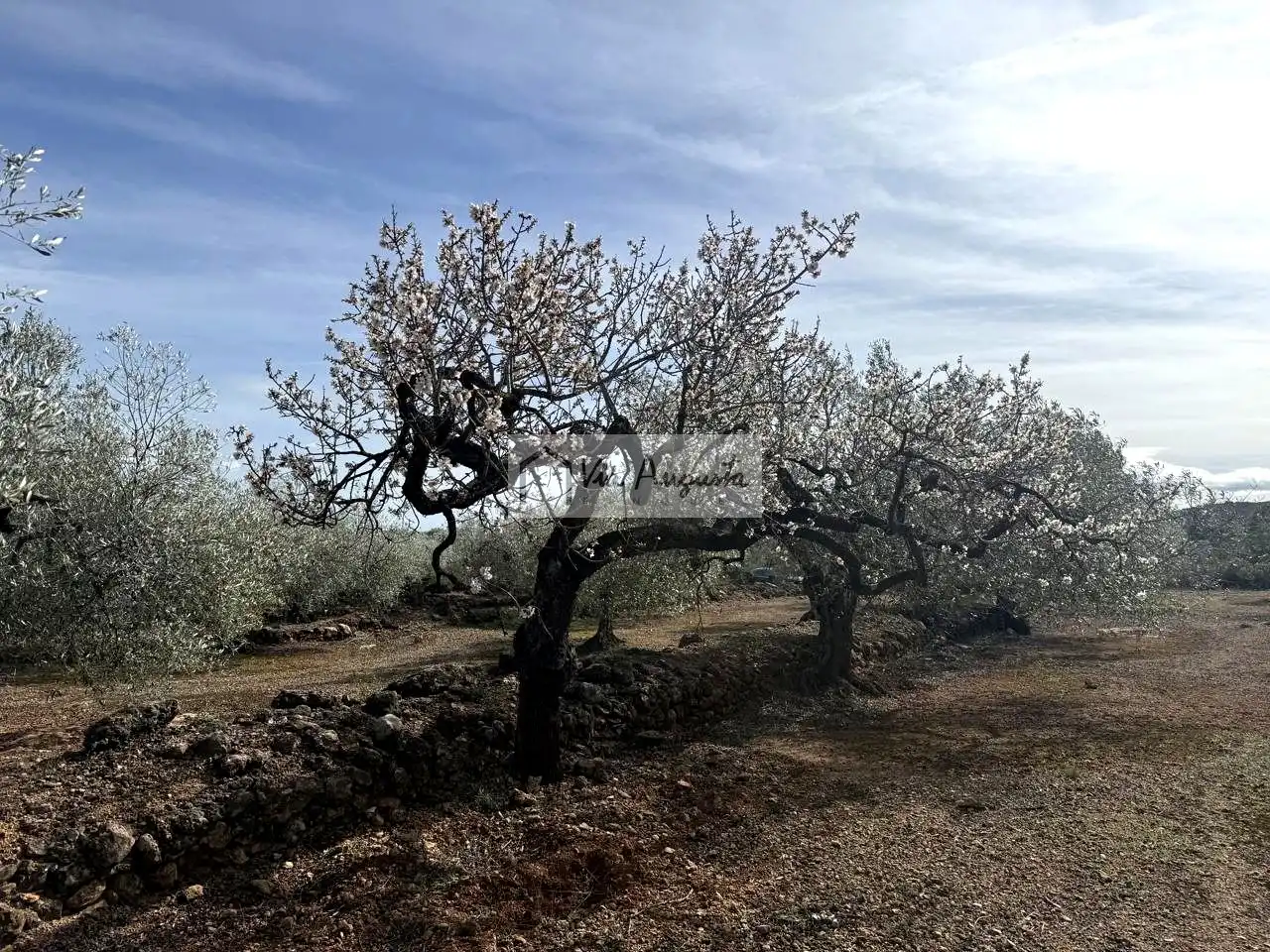 Finca rústica en venda en El Perelló
