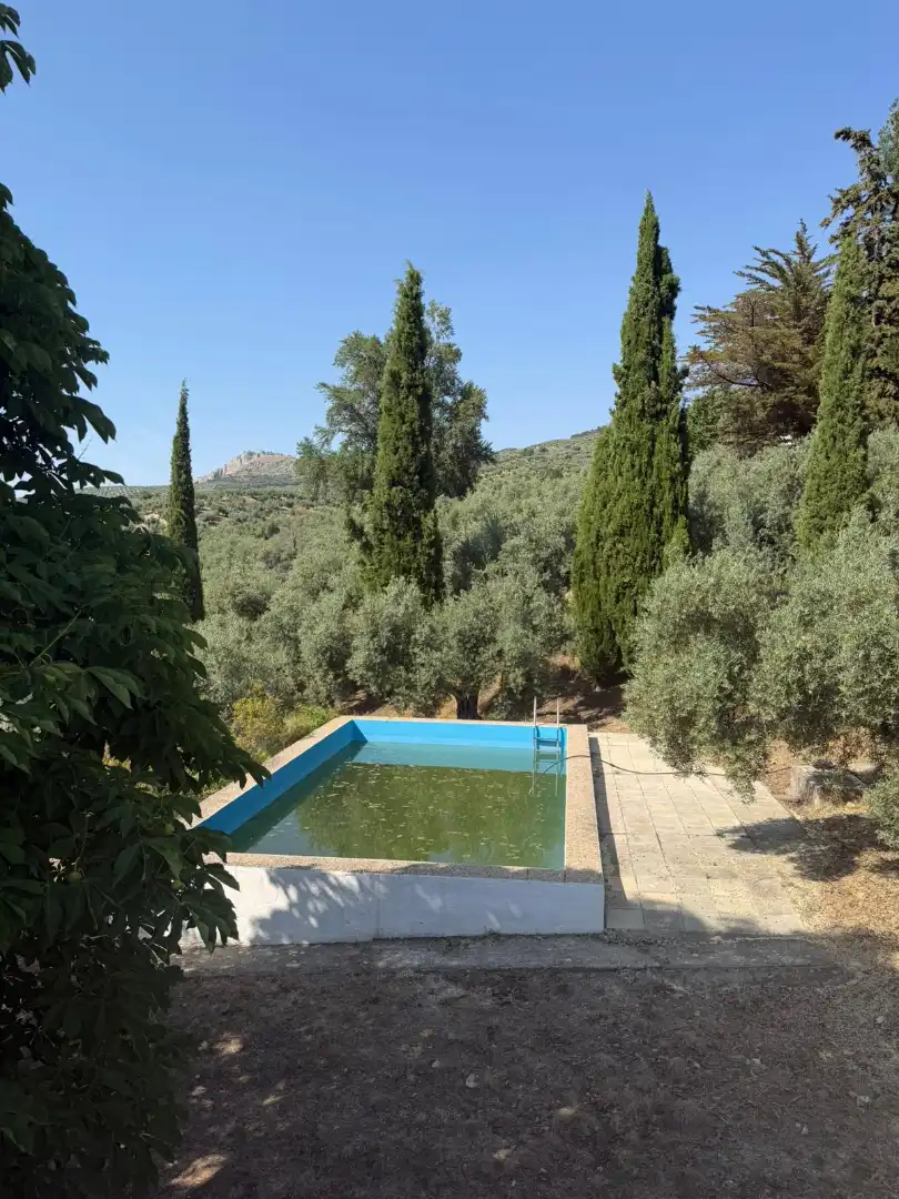 Piscina de Finca rústica en venta en Los Villares con Terraza, Trastero y Piscina