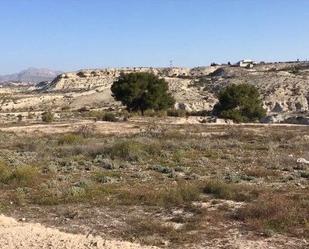 Finca rústica en venda en Molina de Segura