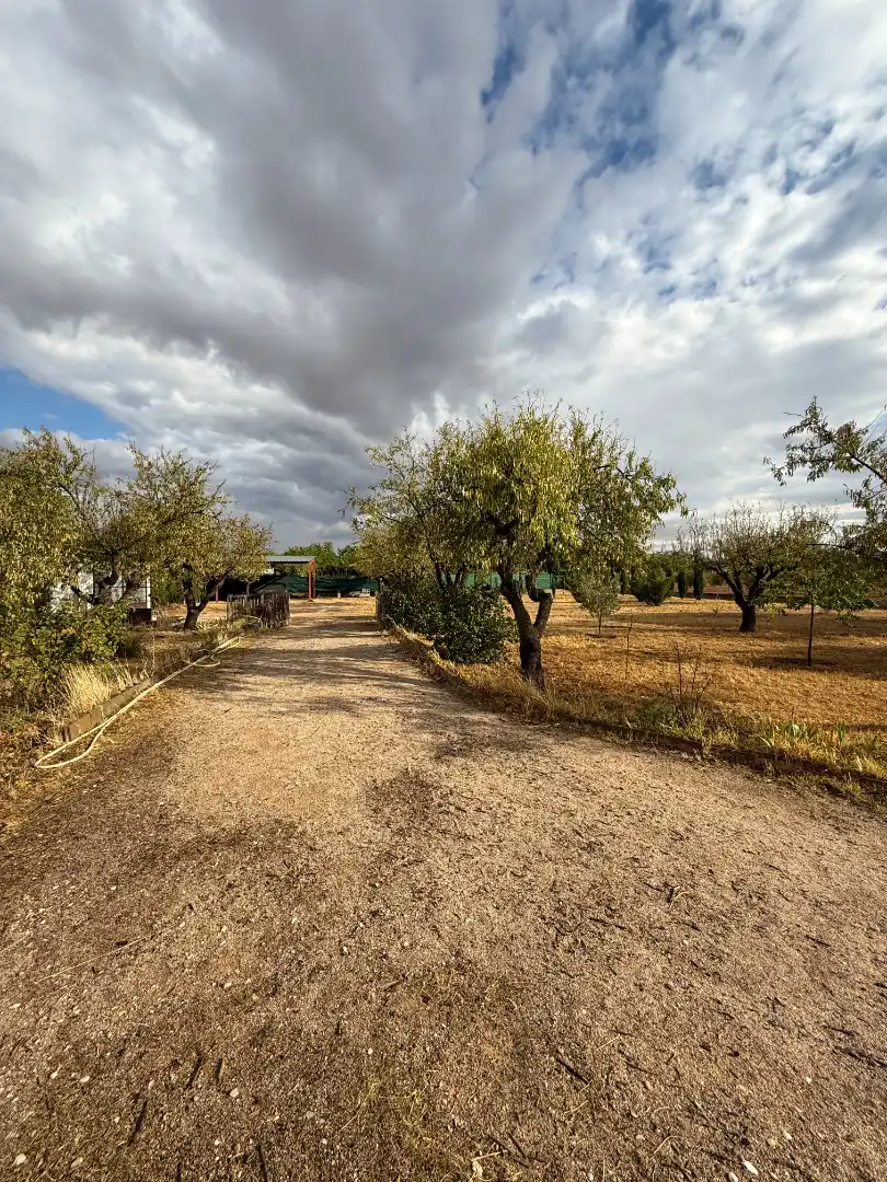 Xalet amb jardí en venda a Carretera a, imagen 12