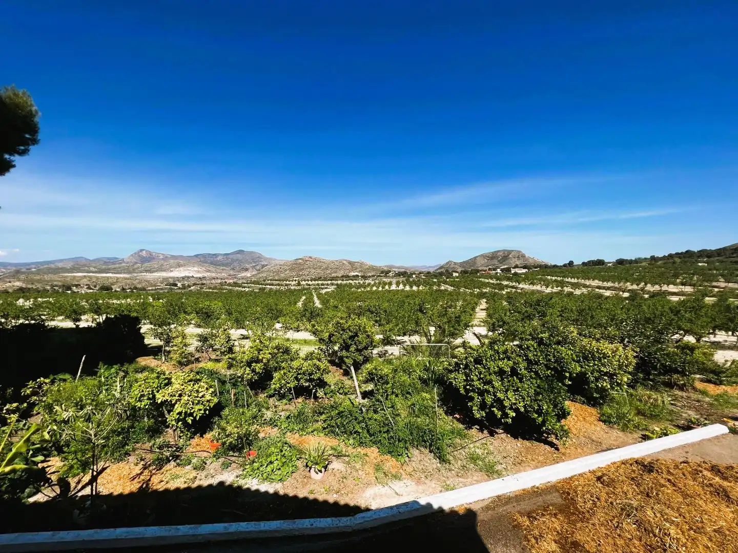 Exterior view of Country homes for sale in Monóvar  / Monòver  with Air Conditioner, Private garden and Terrace