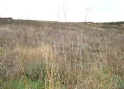 Land for sale in Haro