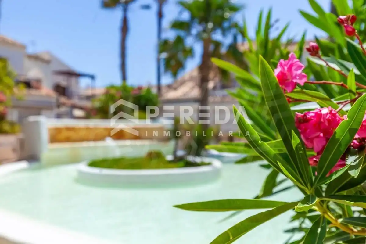 Studio mit Pool zum Verkauf in Avenida ENTREMARES (U), imagen 26