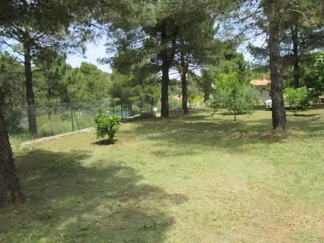 Garden of Houses for sale in Simat de la Valldigna
