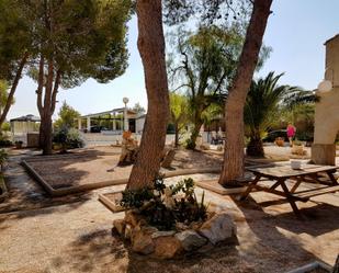 Jardí de Casa o xalet en venda en  Murcia Capital amb Aire condicionat, Calefacció i Jardí privat