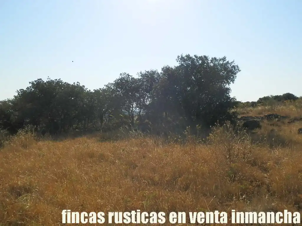 Terrenys i solars en venda a Almagro, imagen 15