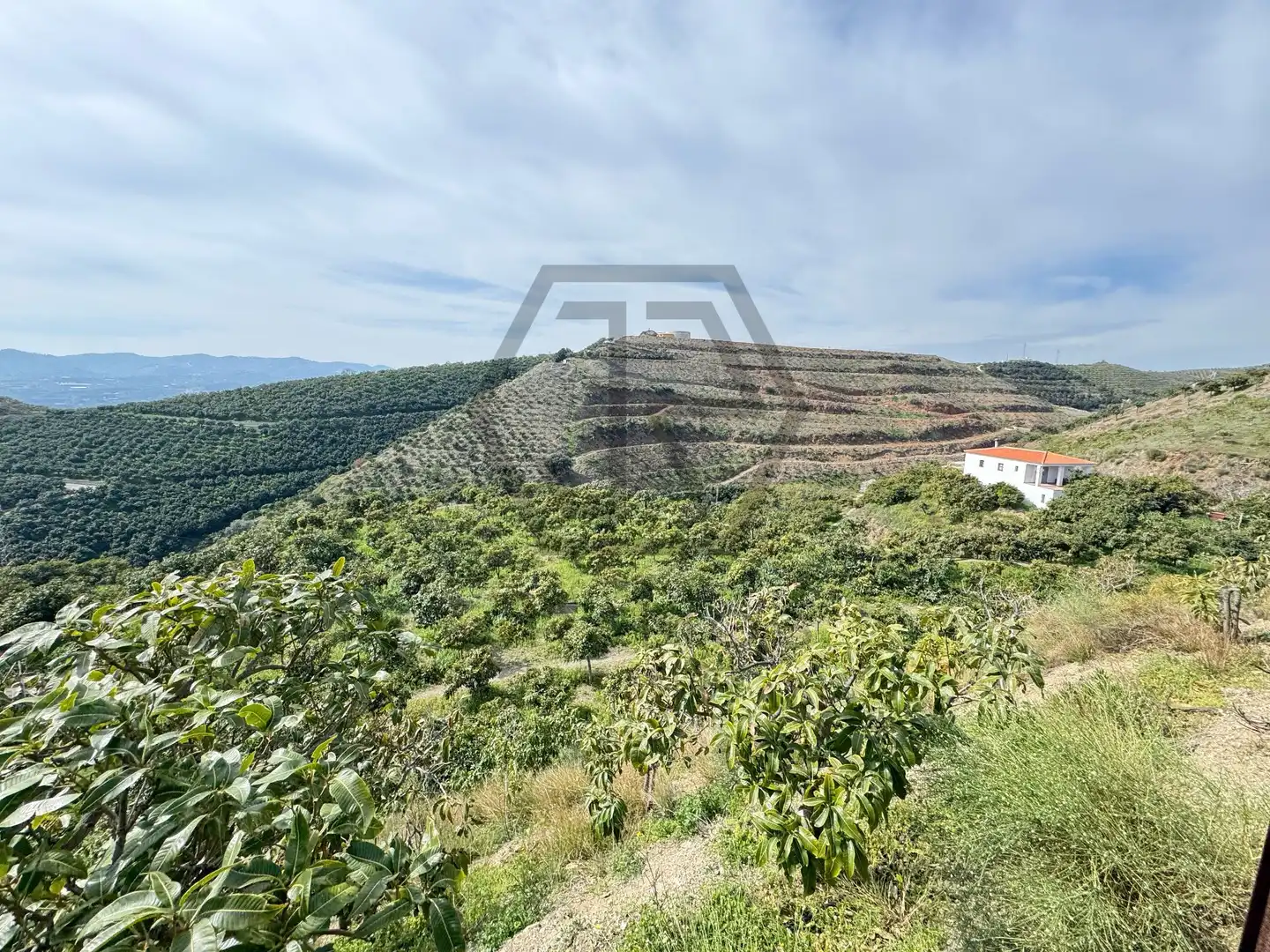 Rustikales Grundstück zum Verkauf in Atalaya Baja, imagen 9
