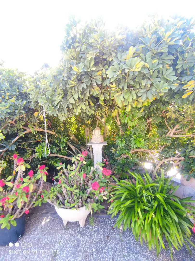 Detached house with pool for sale in La Foia - Daimés - Asprella, imagen 38