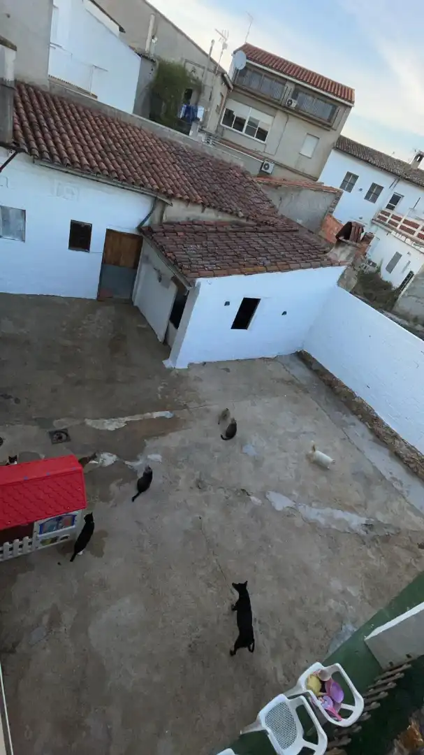 Casa en venda a Carrer de la Font 3, imagen 14
