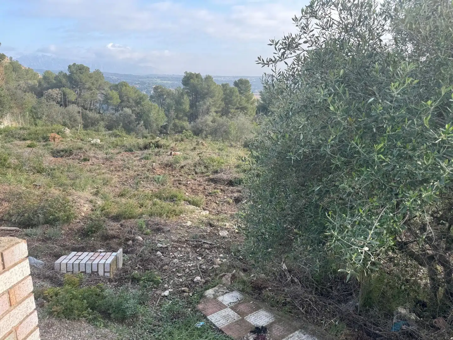 Grundstücke und Bauplätze zum Verkauf in Cabrera d'Anoia, imagen 3