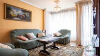 Living room of Flat for sale in Mieres (Asturias)