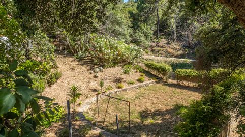 Encantadora y pintoresca casa de campo con piscina, situada cerca del pueblo de Casares., imatge 3